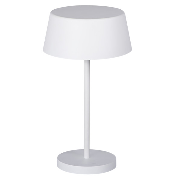 DAIBO LED T-W