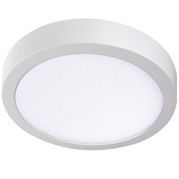 CARSA V2LED 24W-NW-W