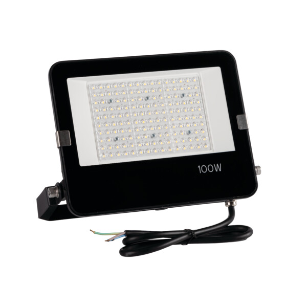 FL AGOR/A PRO 100W NW
