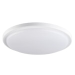 Produkt z rodziny -ORTE LED 24W-NW-O