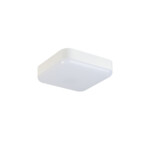 Produkt z rodziny -IPER LED 10W-NW-L-SE
